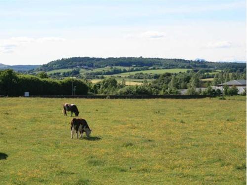 Hillhead Farm Lets Hotel Стърлинг Екстериор снимка